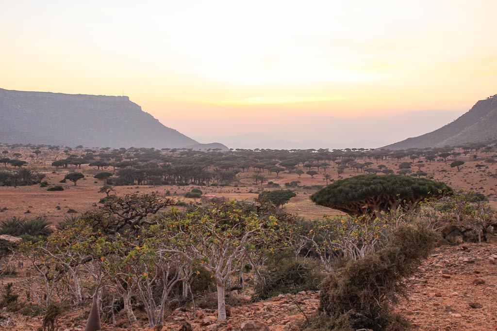 Homhil Protected Area, Socotra Island, Yemen