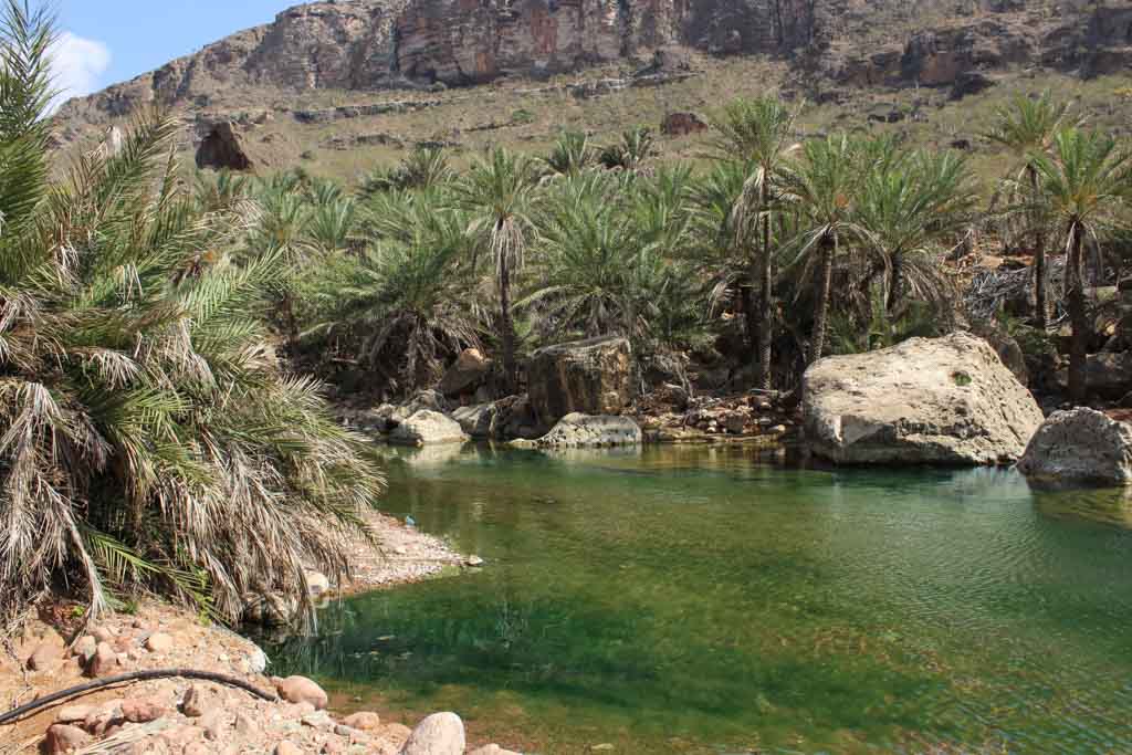 Wadi Faro, Socotra, Yemen
