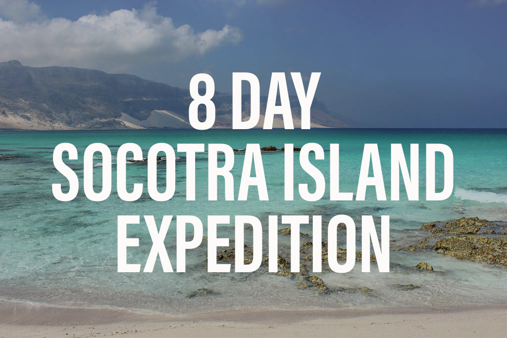8 Day Socotra Expedition