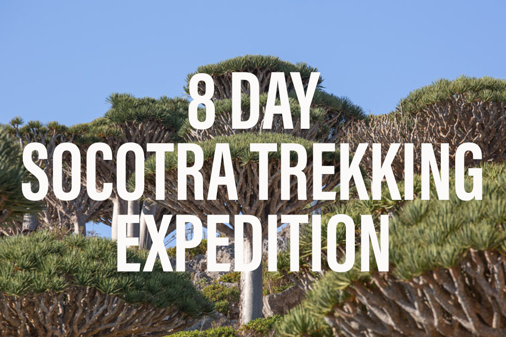 8 Day Socotra Trekking